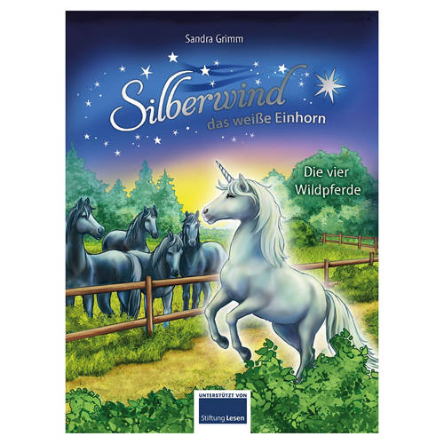 Silberwind - die vier Wildpferde